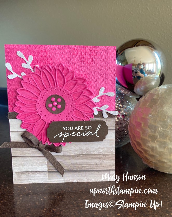 Celebrate Sunflowers - Hutch - Lovely You - Magenta Madness - Up North Stampin' - Mary Hanson