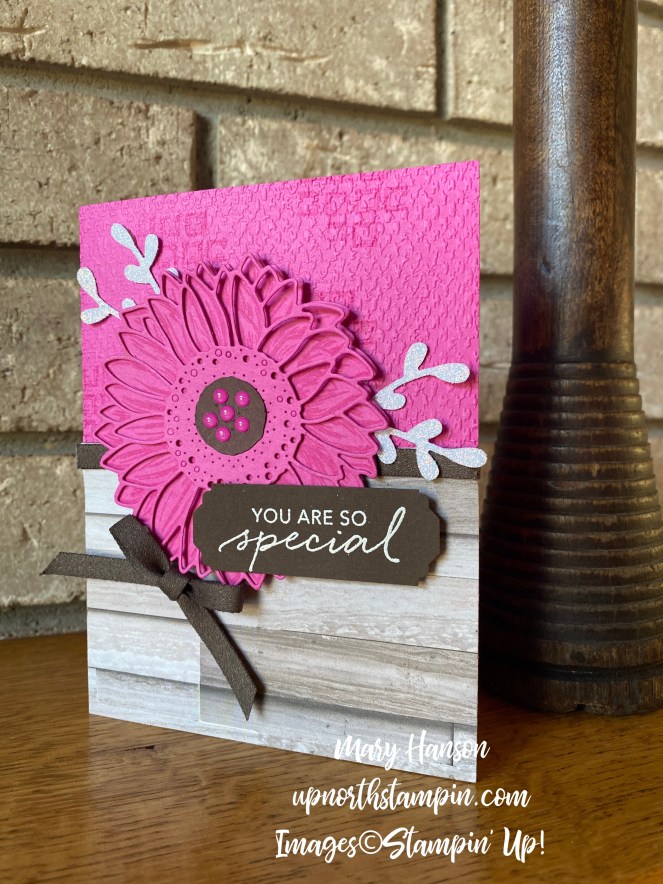 Celebrate Sunflowers - Lovely You Bundle - Magenta Madness - Mary Hanson - Up North Stampin'