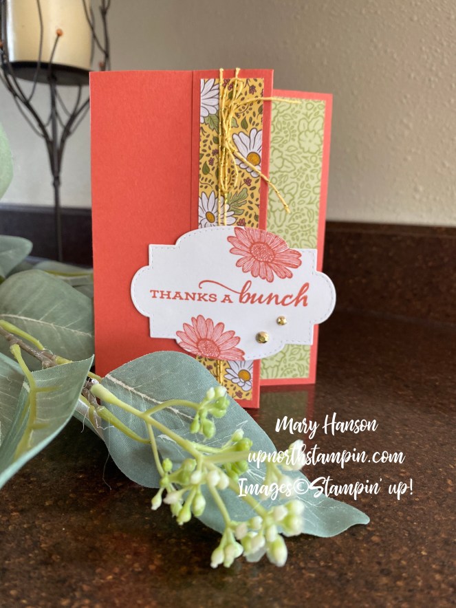 Double Wonder 8 - Mary Hanson - Up North Stampin'