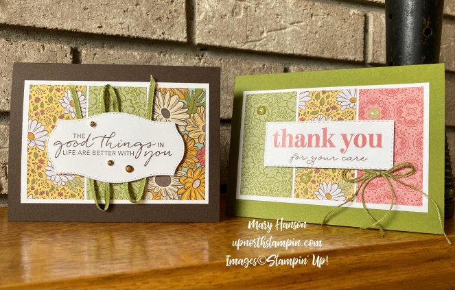 Double Wonder Cards #3 - Mary Hanson - Up North Stampin'