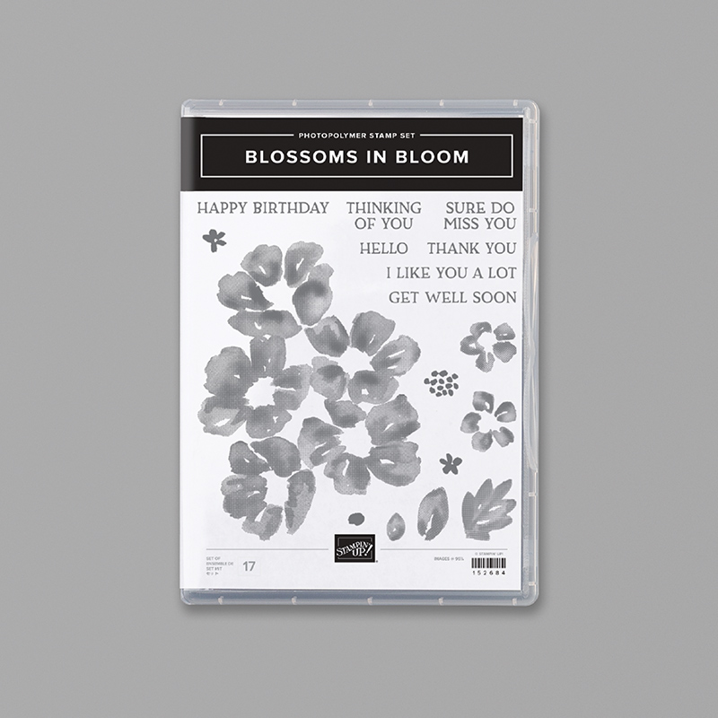 06.20_STAMP_MONTHLY_FOCUS_EN